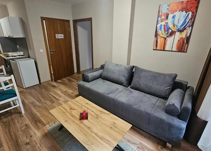 Minkov Apartments, - замъка 2 * Pamporovo